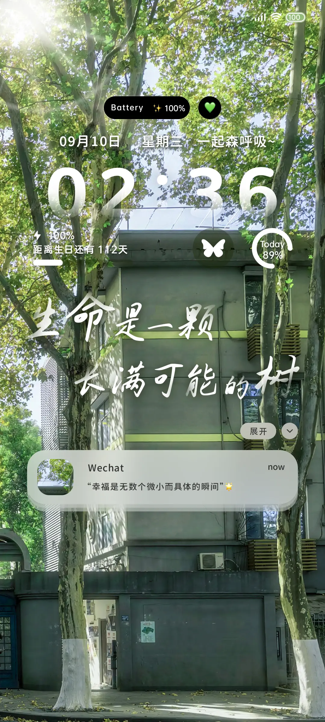 OS氛围 光穿透绿叶 - Screenshot 2