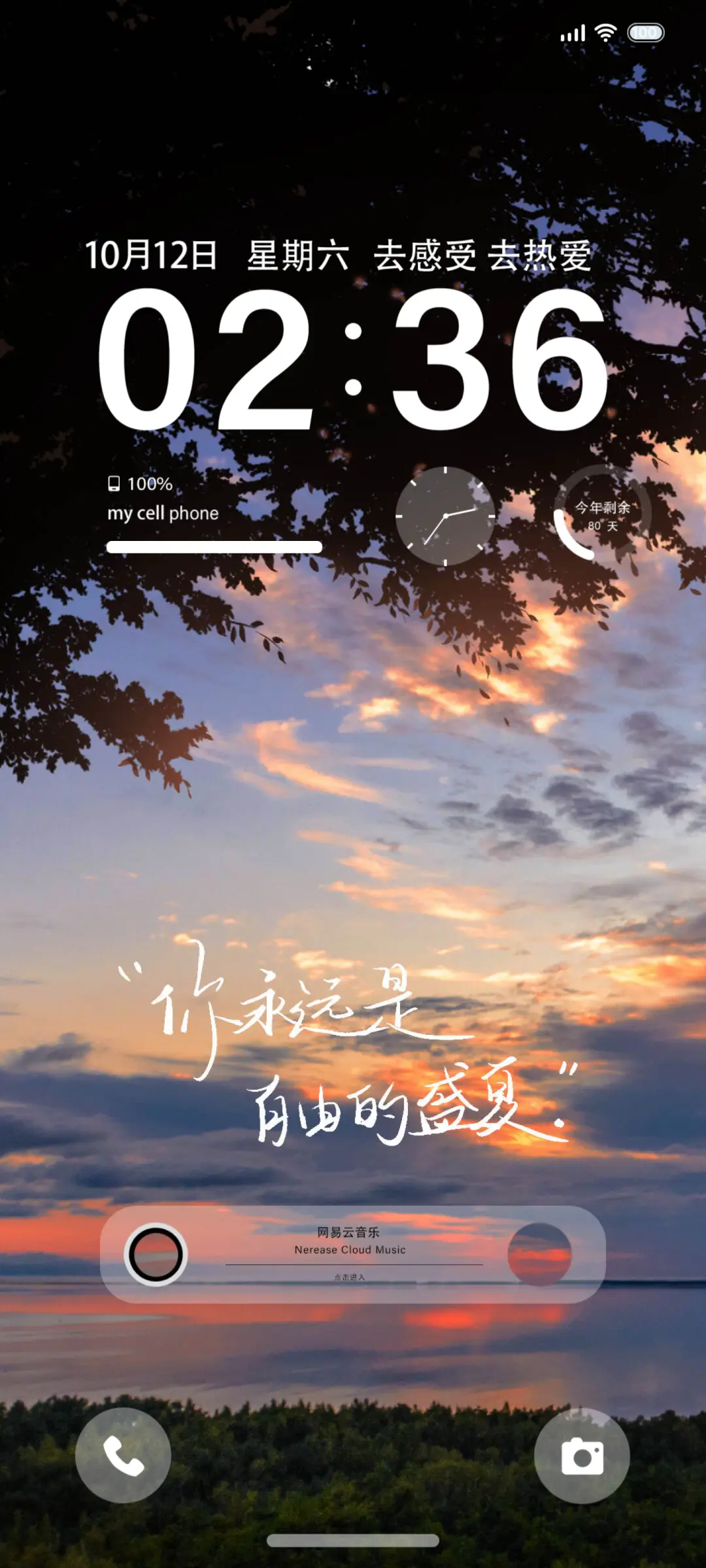 自由盛夏 小组件 - Screenshot 1