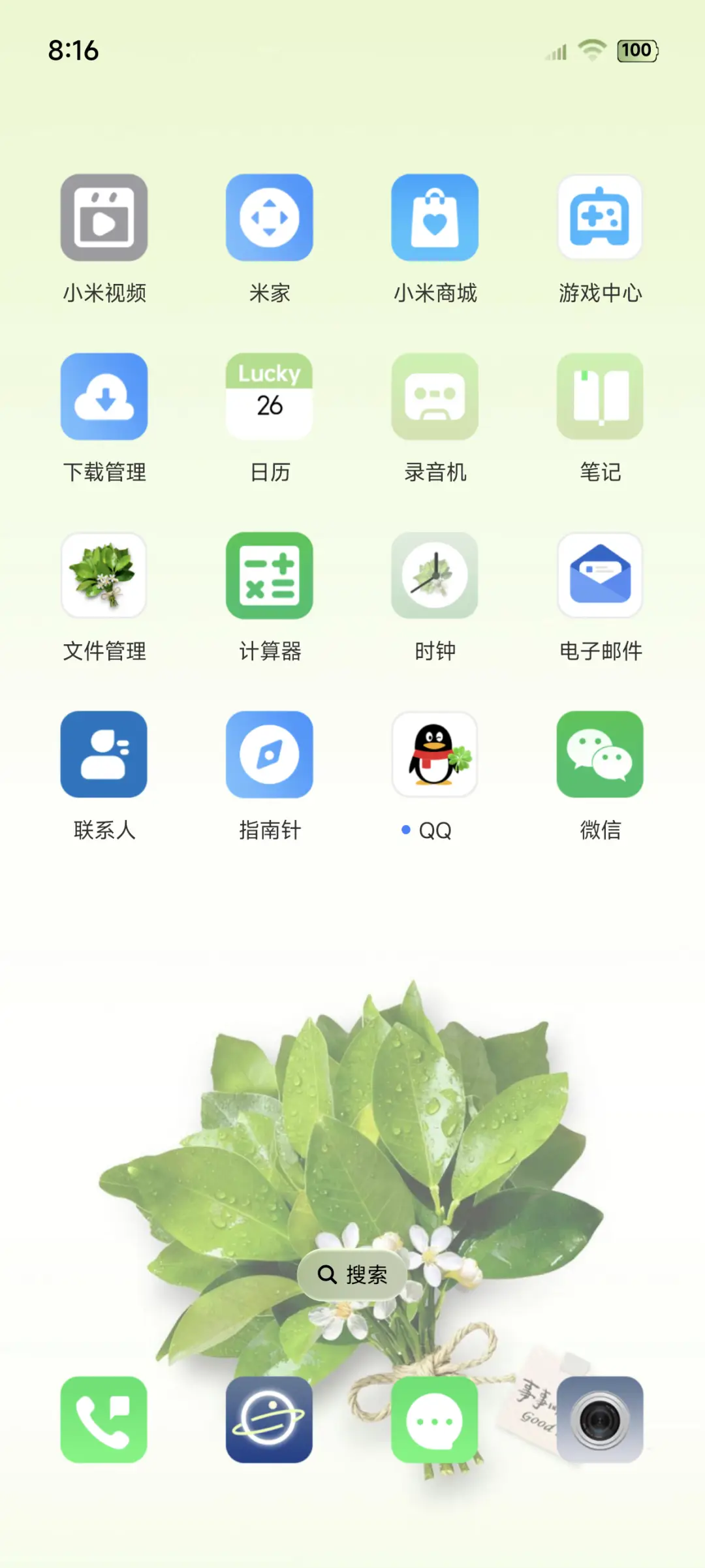大图标柚子叶护体 - Screenshot 3