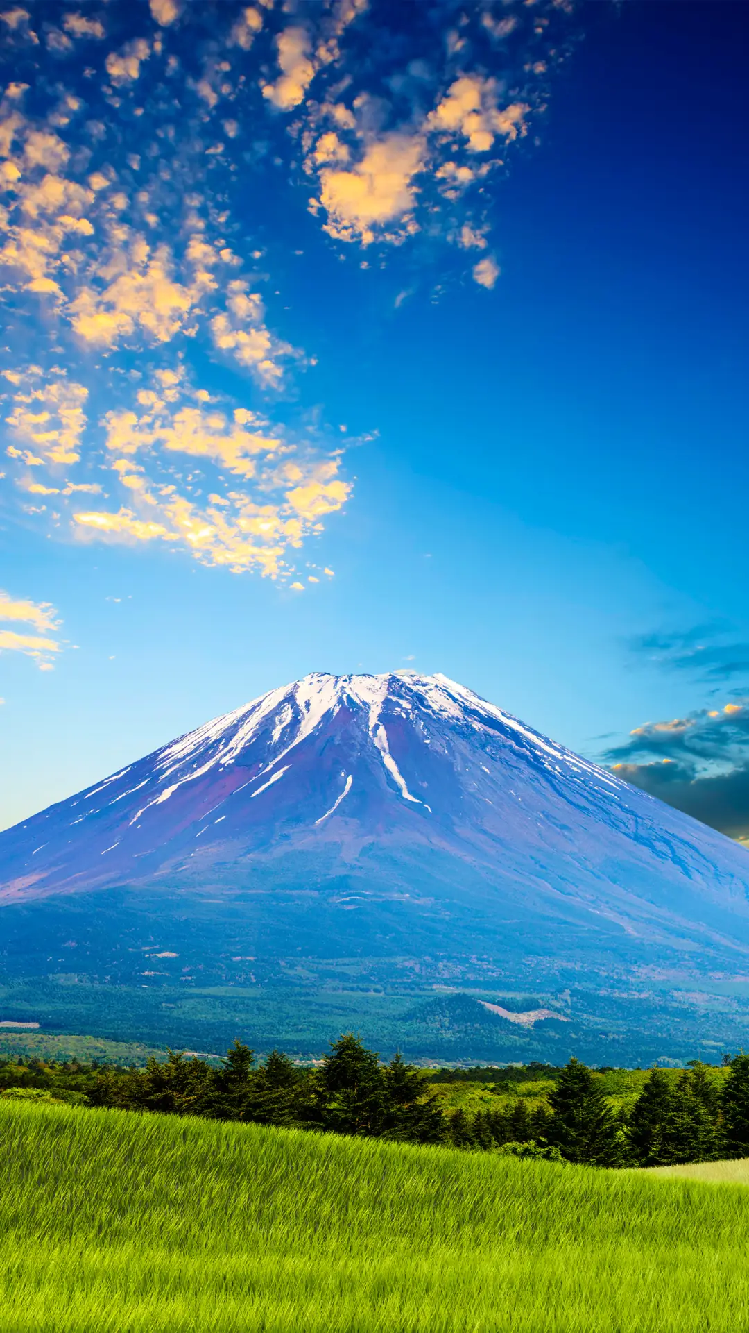 护眼美景-拍信图库