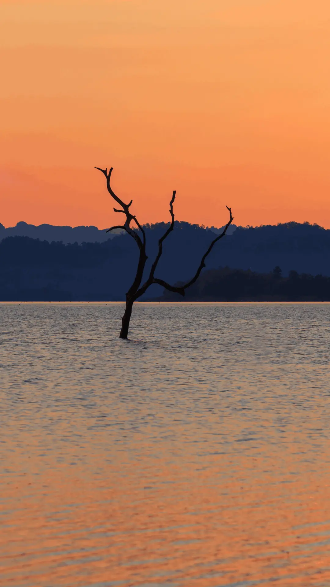 落日余晖-拍信图库