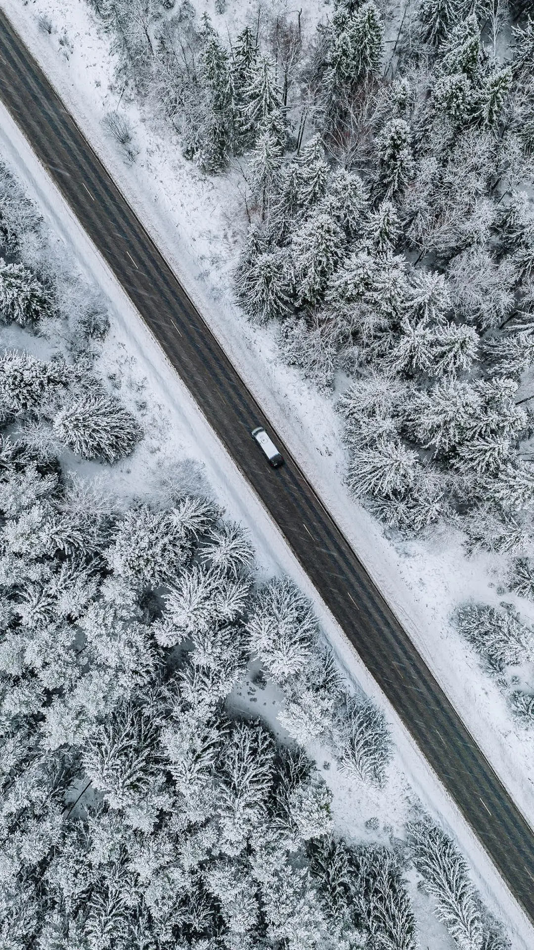 秋尽冬来说立冬