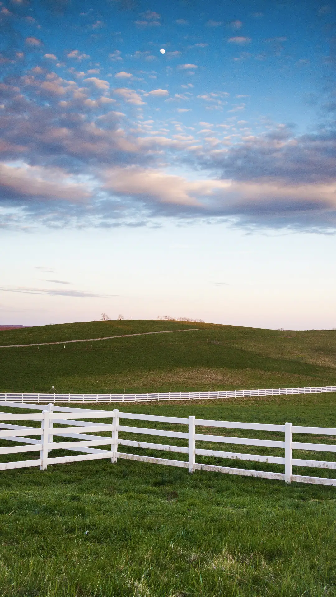 在牧场亲近自然
