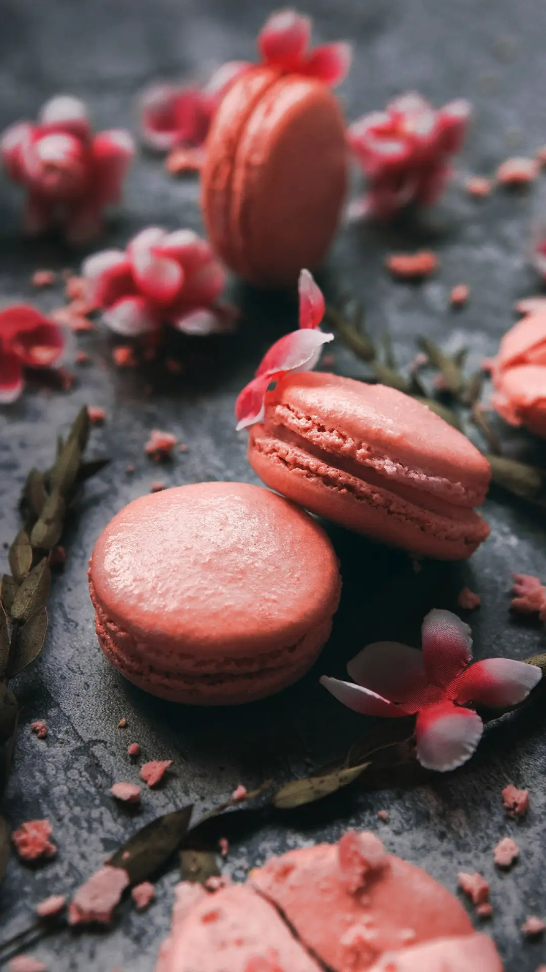 美味好看的马卡龙