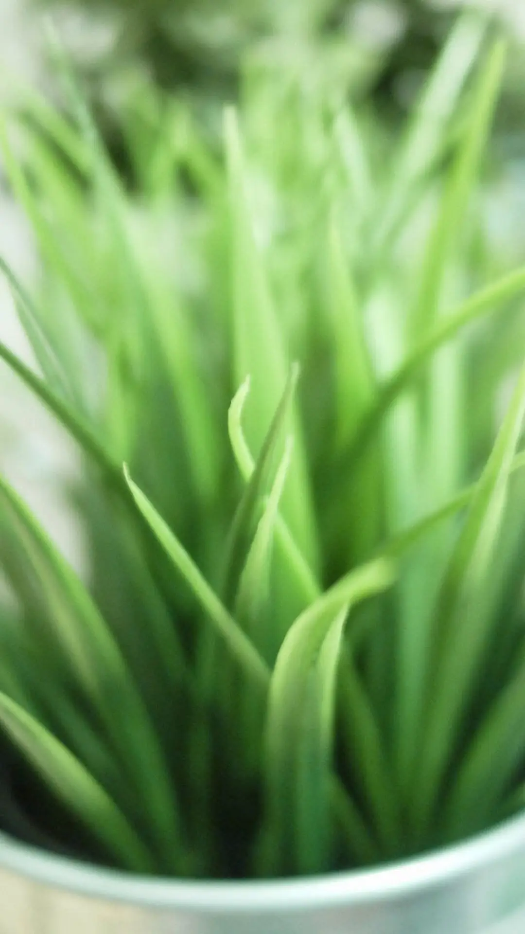 绿色护眼 - Screenshot 1