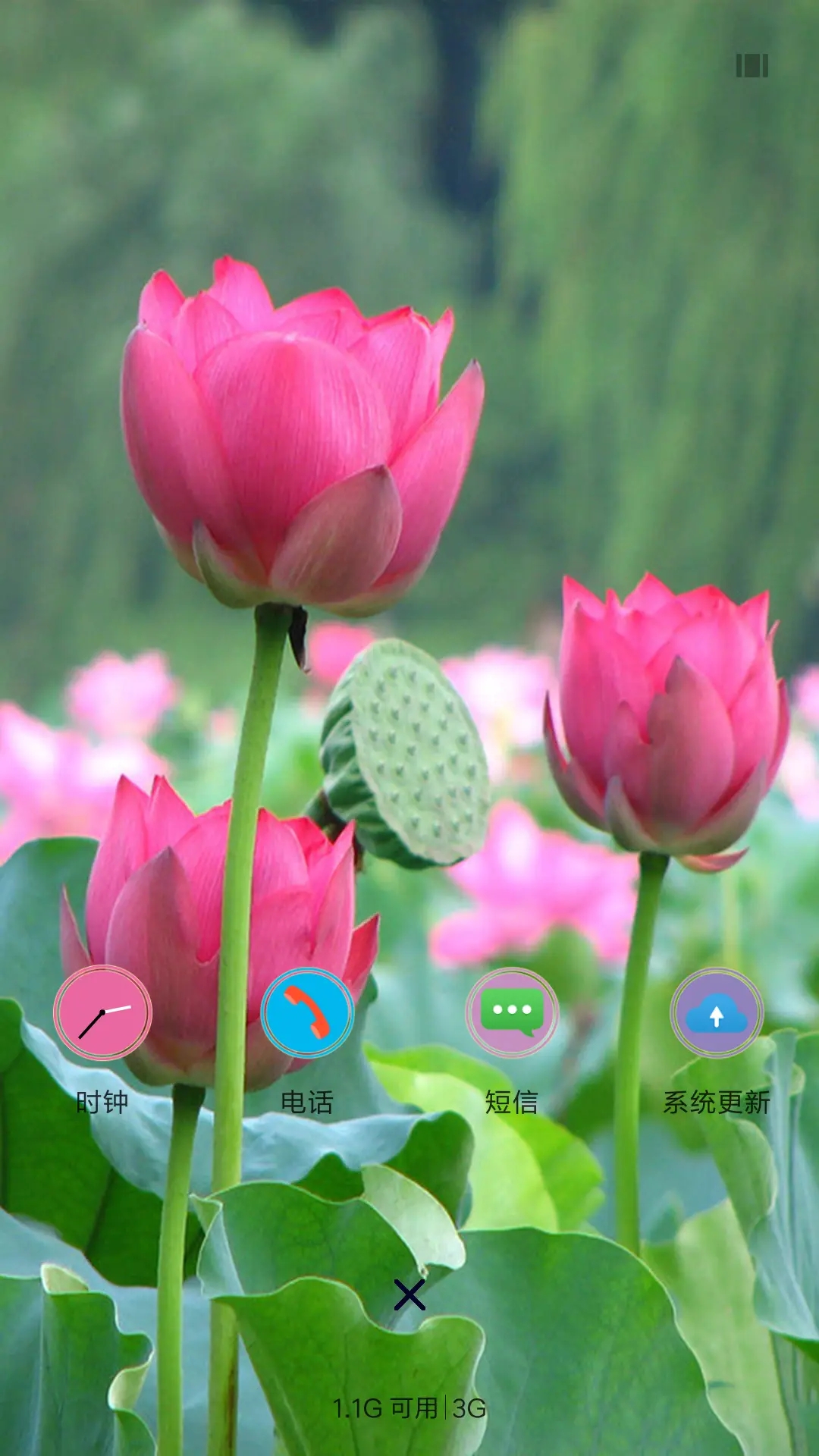 荷花情 - Screenshot 4