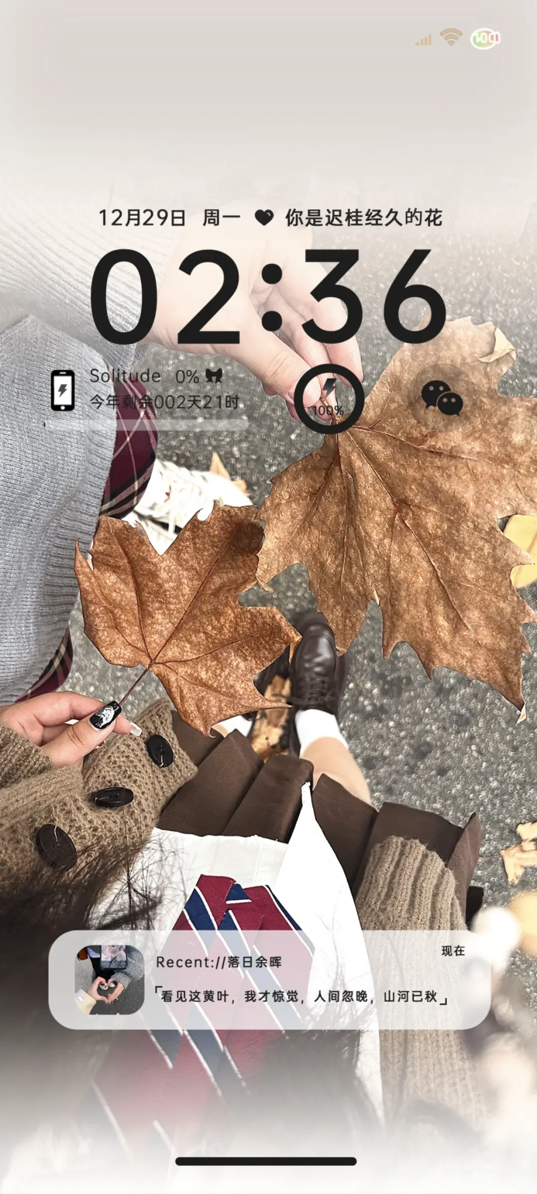 Ins壁纸落叶知意