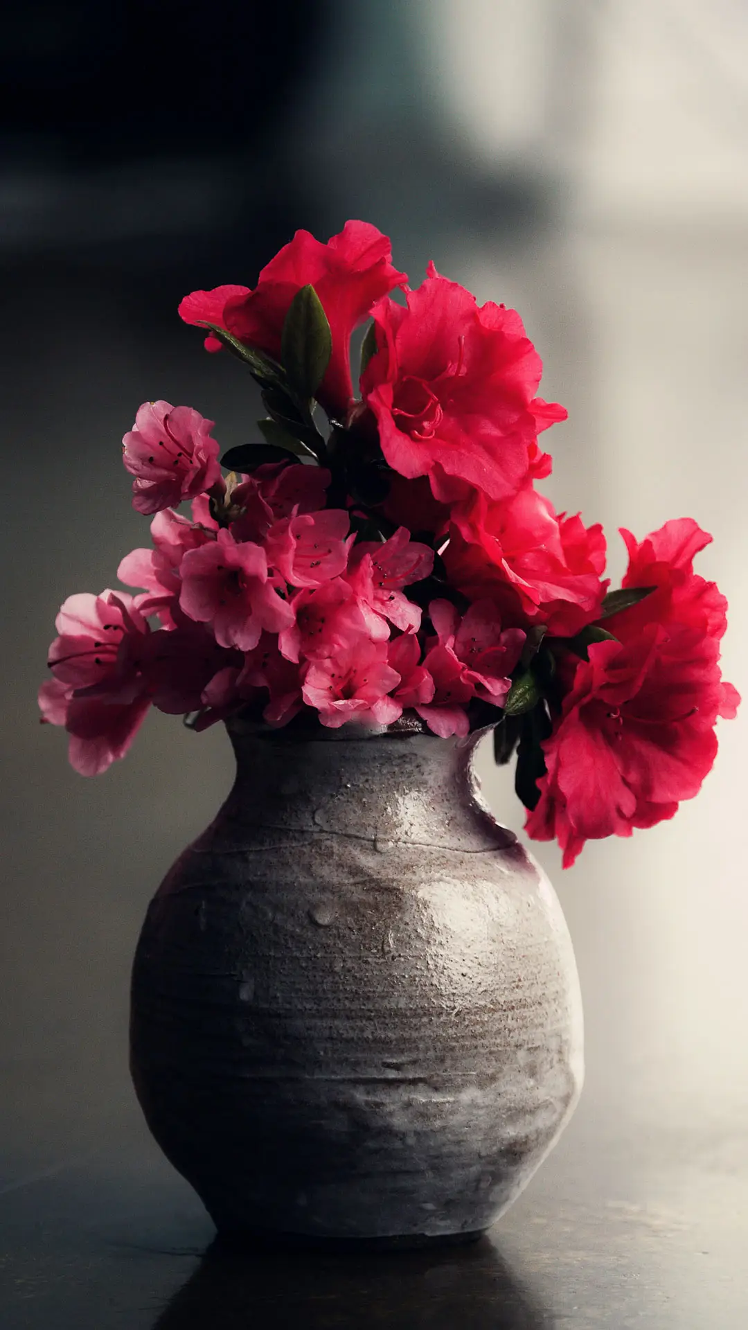 世界和我爱着你