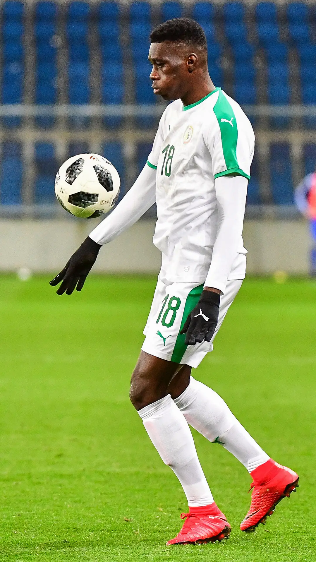 “特兰加雄鹰”塞内加尔队