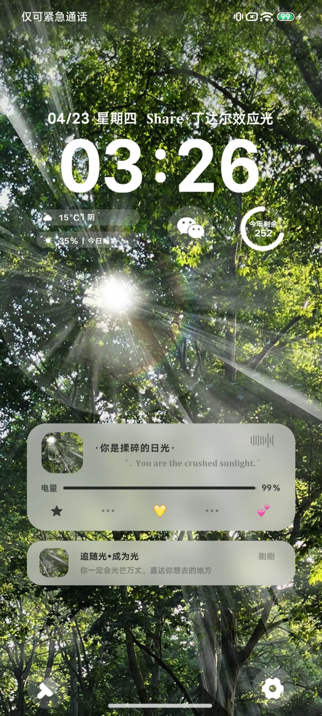 丁达尔效应 树荫