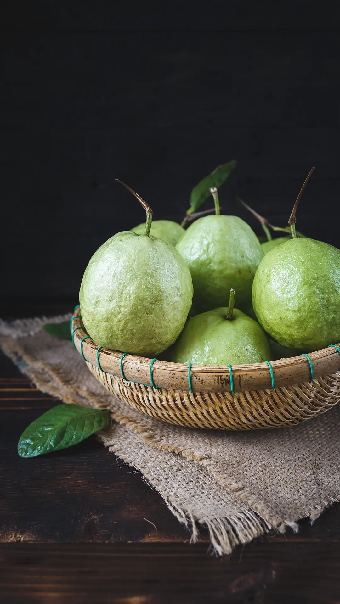 番石榴-锐景创意