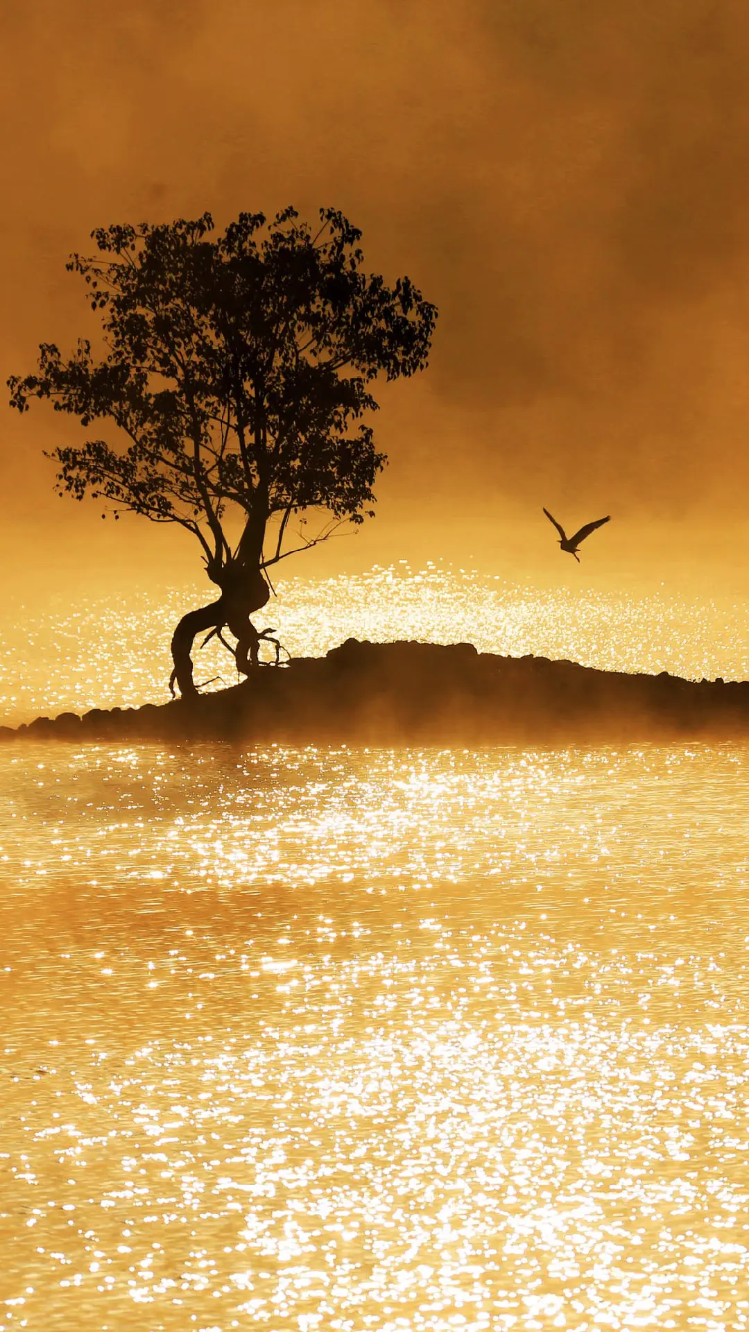 黄山奇墅湖晨曦 - Screenshot 1