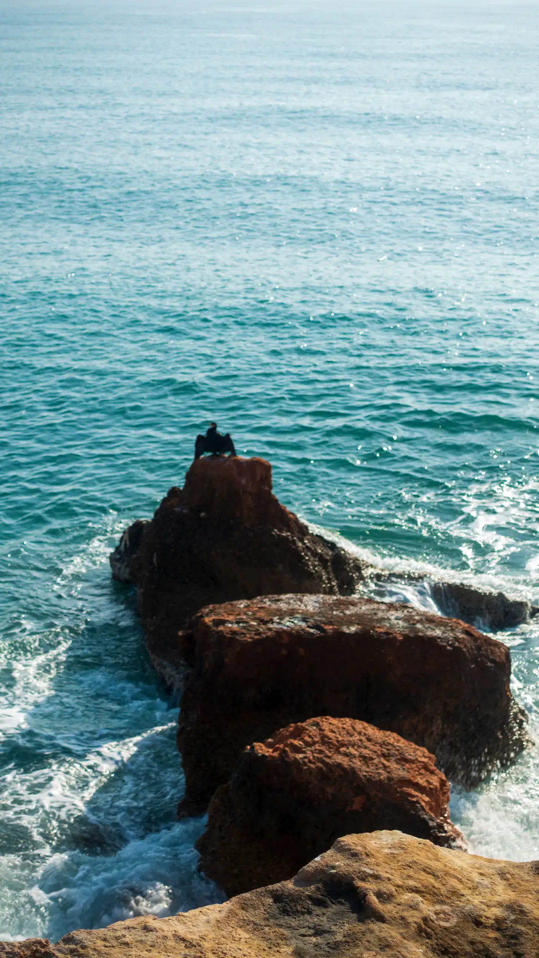 礁石与大海-拍信图库