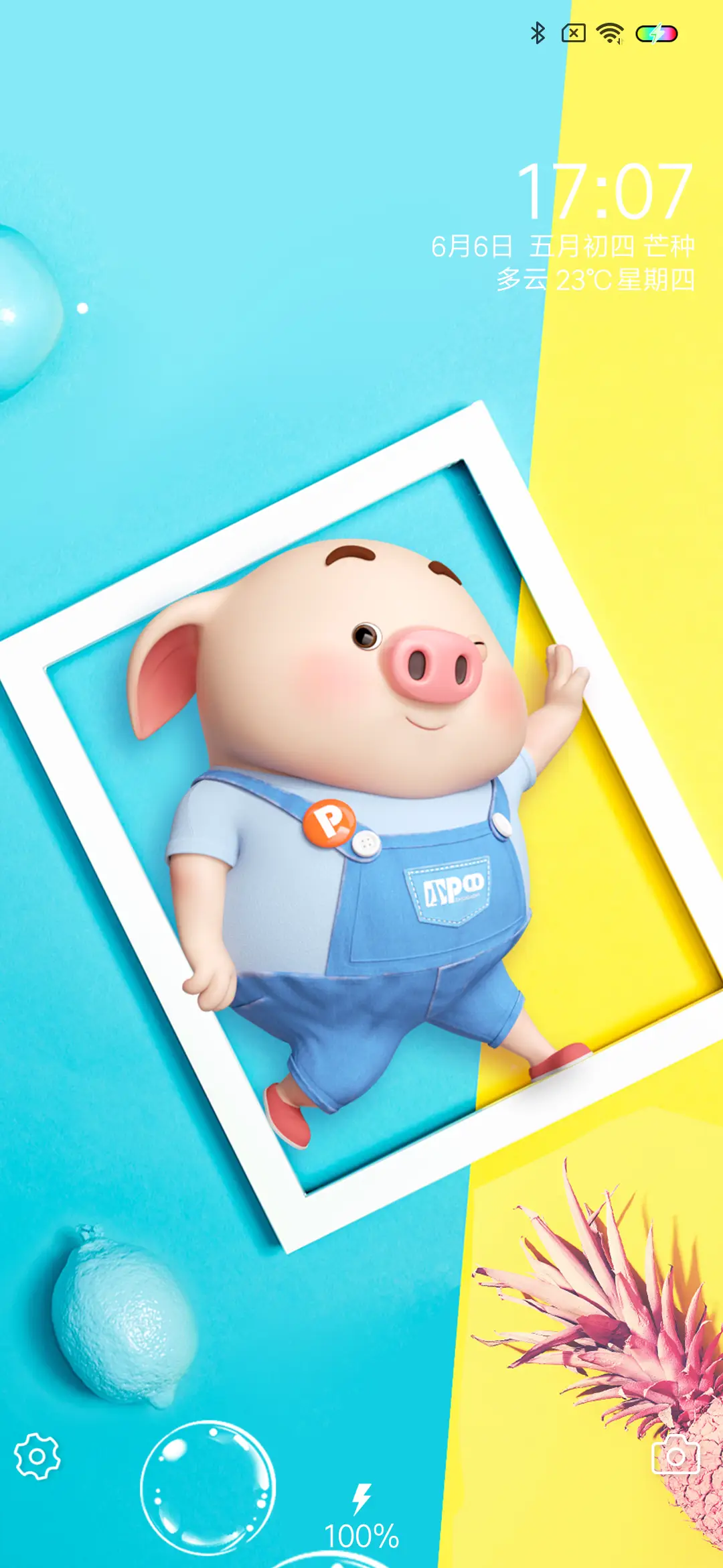 夏日清爽猪小屁