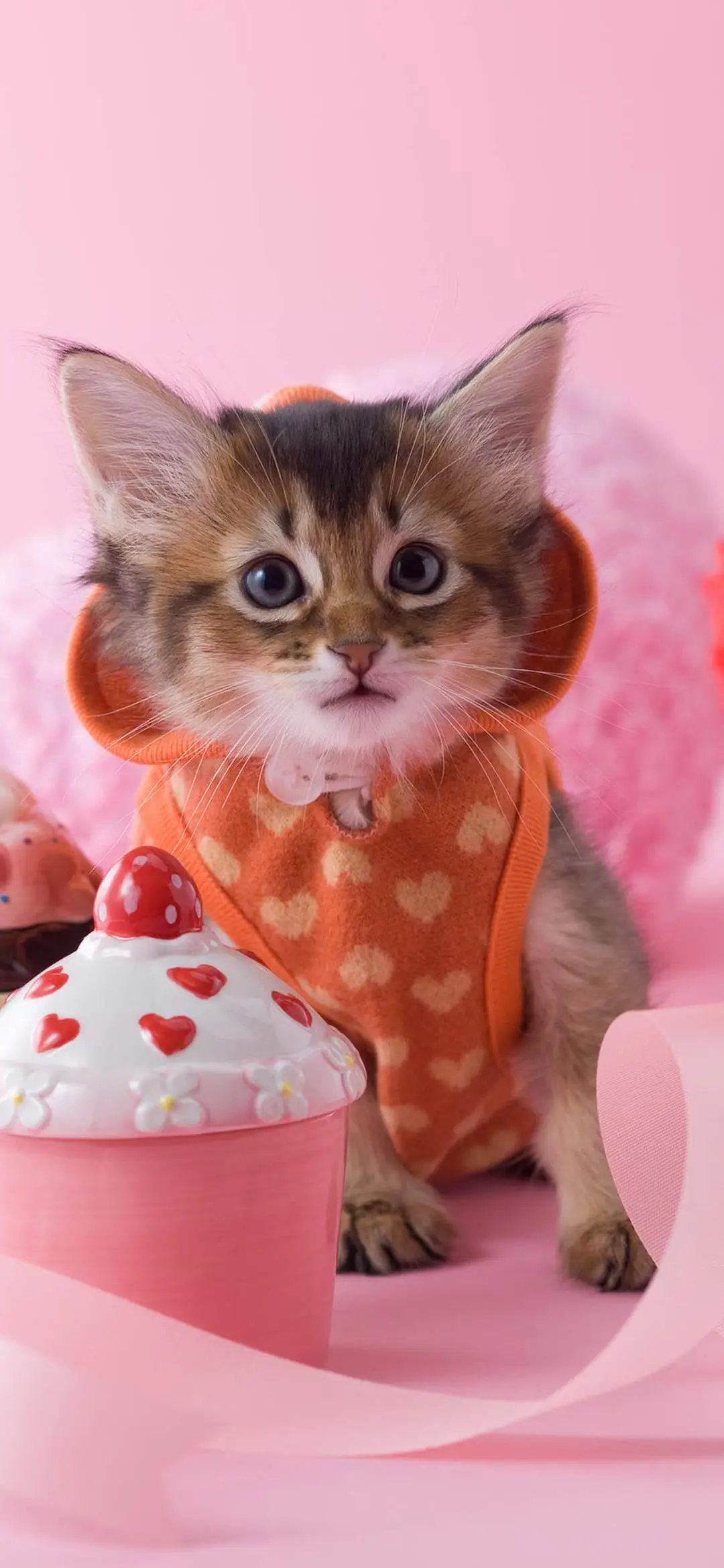 萌小喵-视觉中国