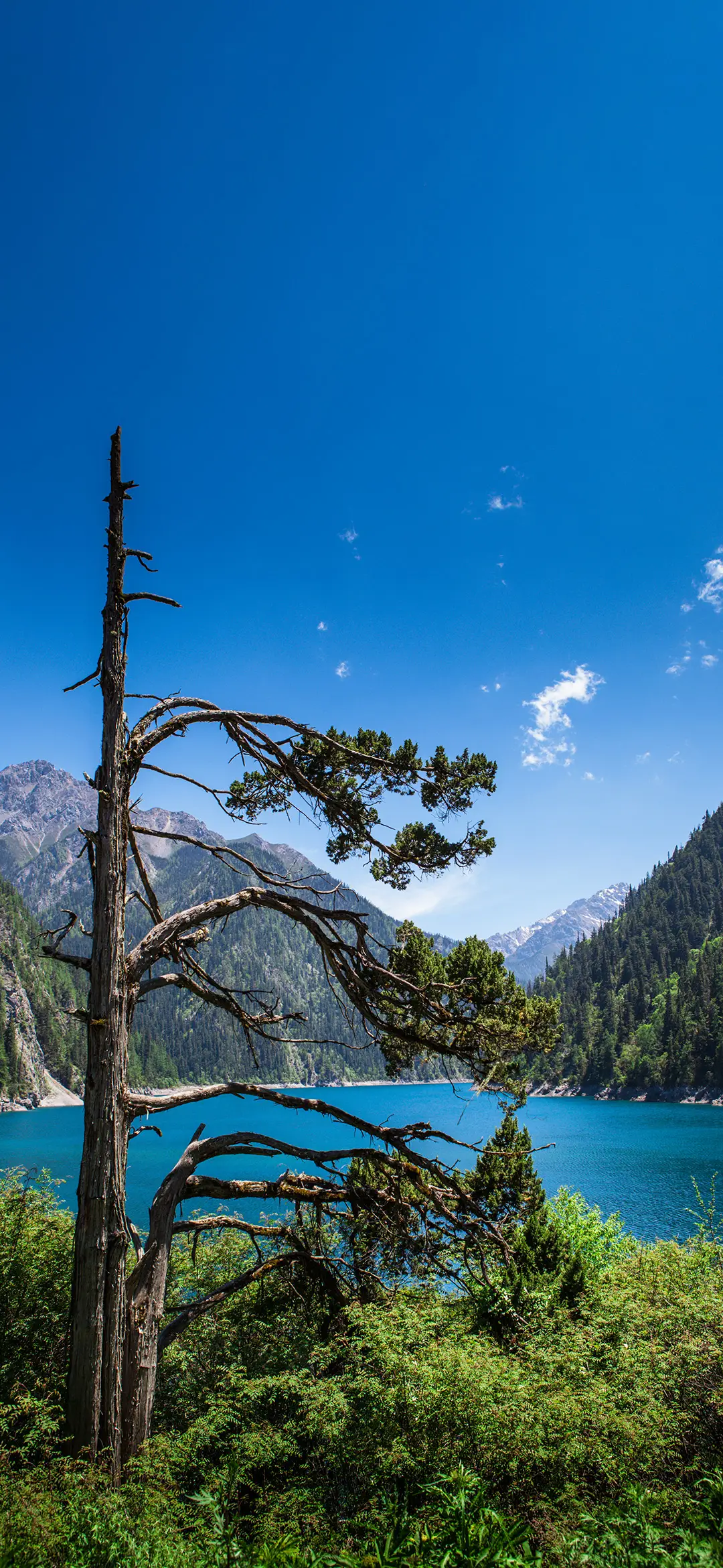 四川神秘之境-拍信图库