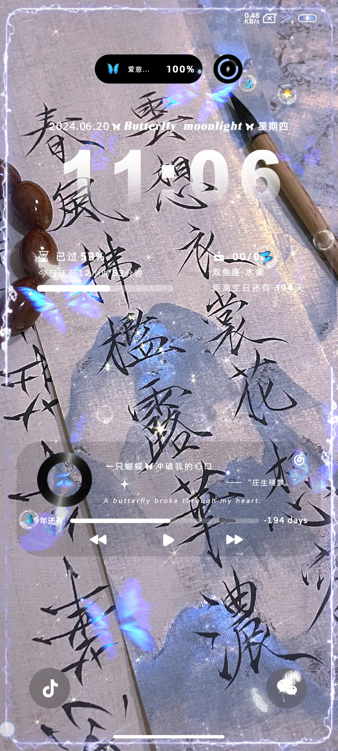 蝴蝶来信 华光流年