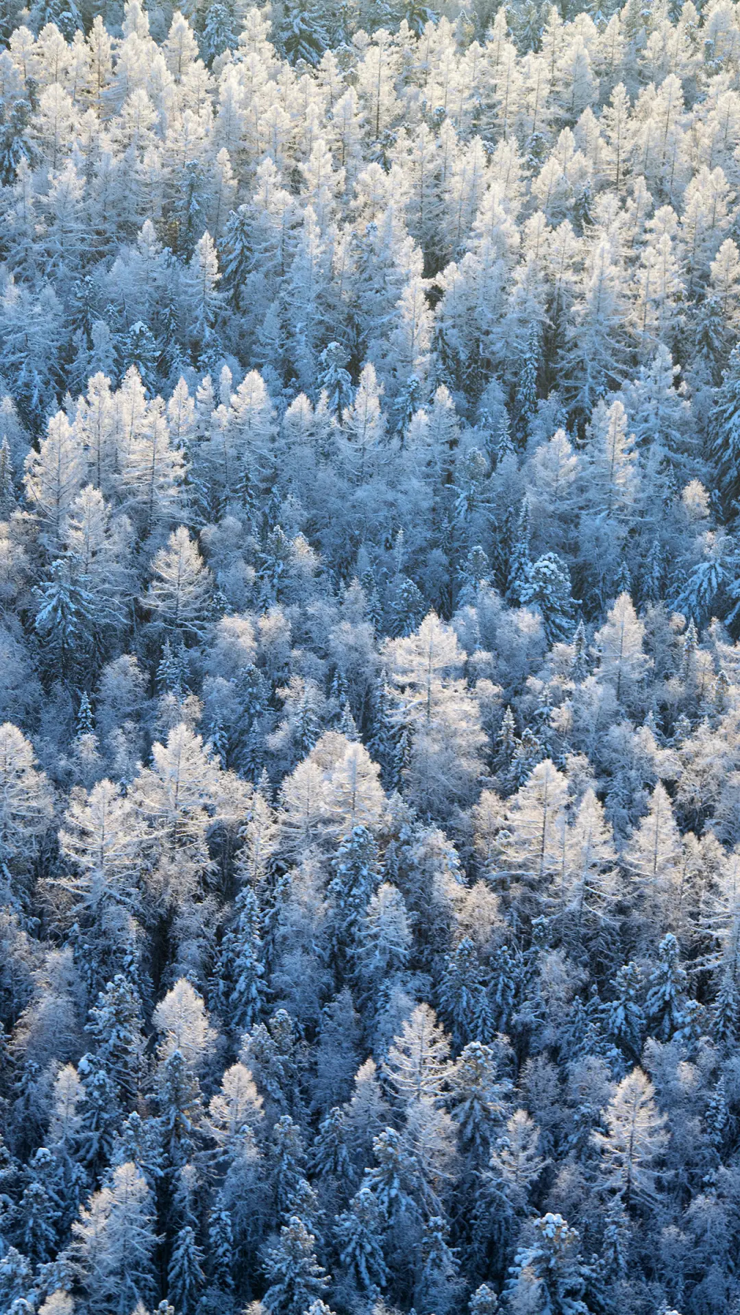 北国风光-拍信图库