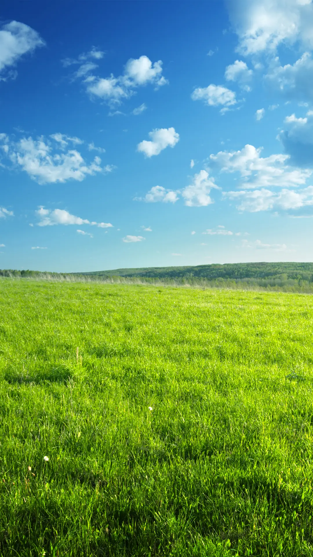 护眼草原壁纸-拍信图库