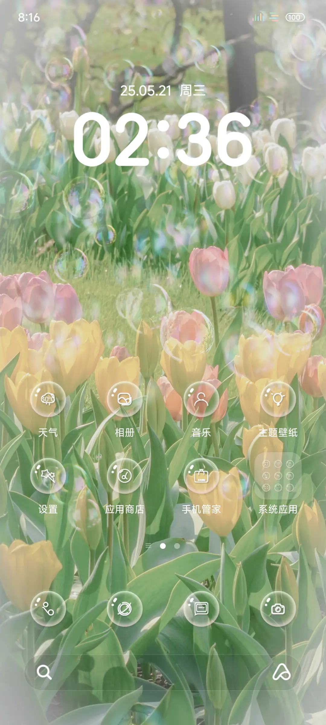 ins简约郁金香 - Screenshot 2