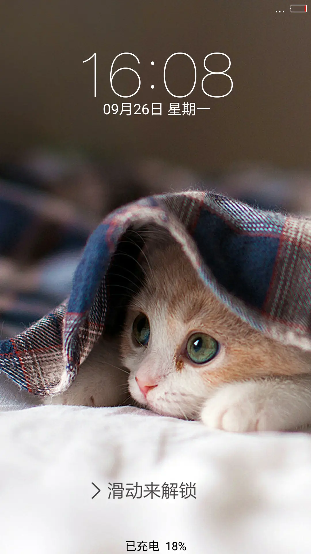 萌猫（不信你不喜欢啊）