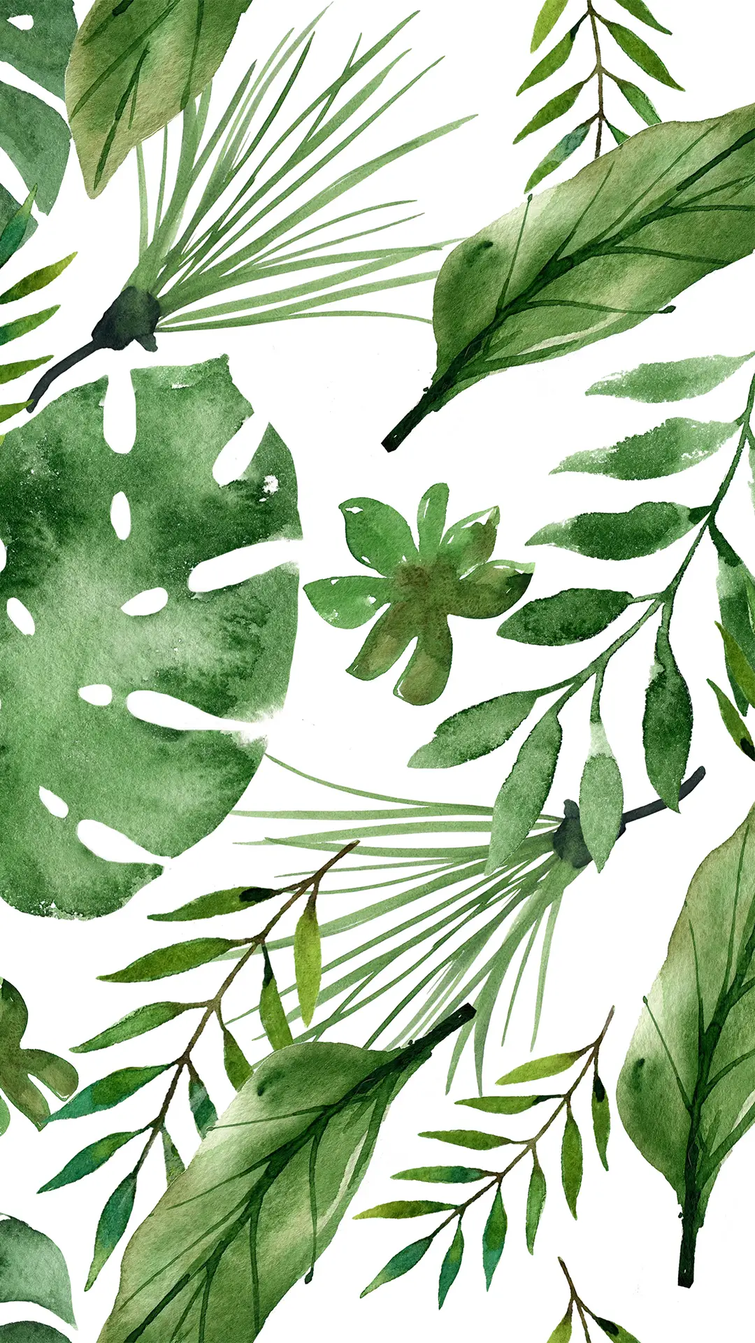 护眼绿植-拍信图库