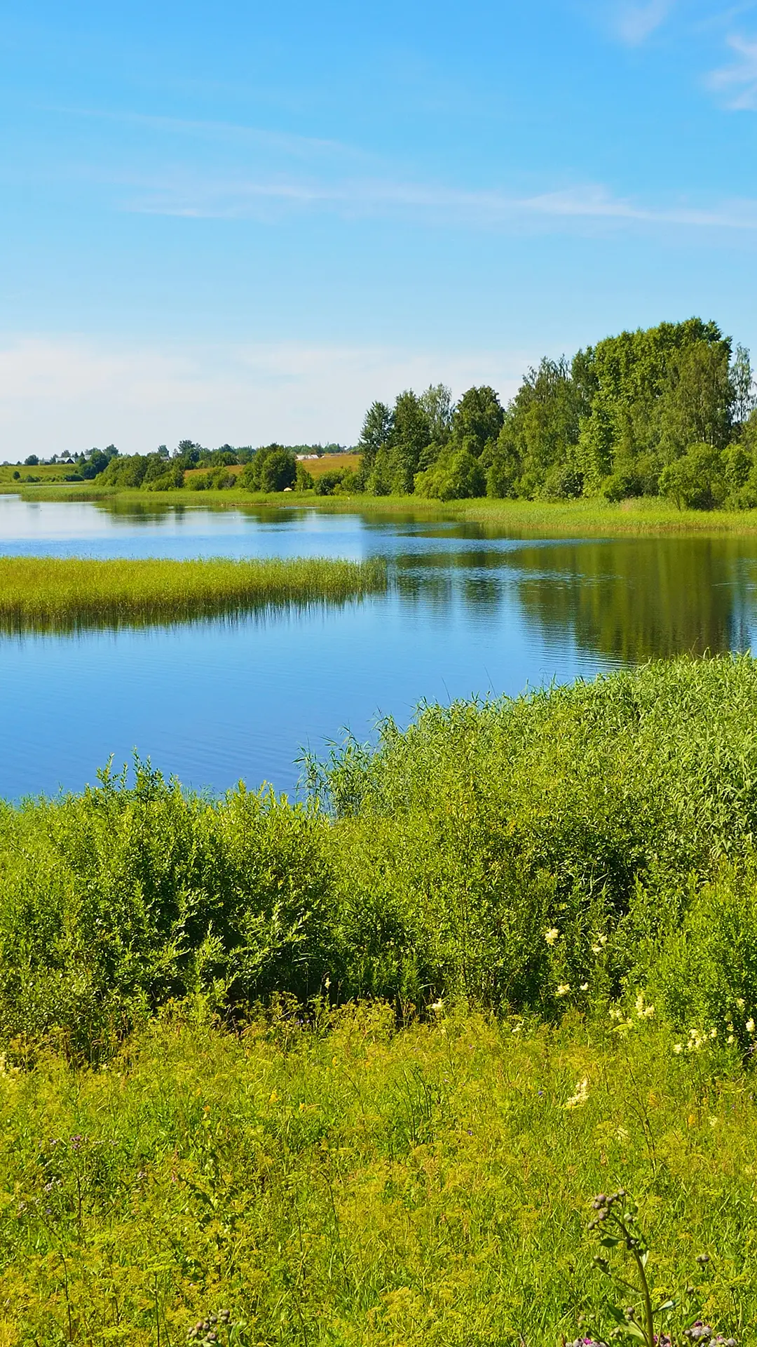 绿色护眼风景-拍信图库